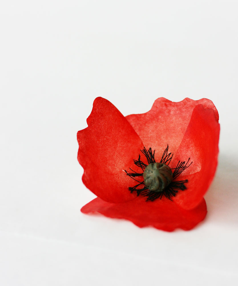 How to Color Wafer Paper Sugared Productions Blog